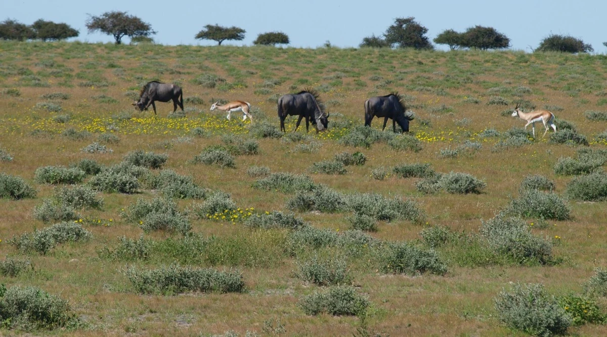 Güney Afrika gezisinden fotoğraflar - 2