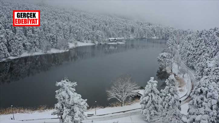Bolu tabiat parkında kartpostal görüntüler