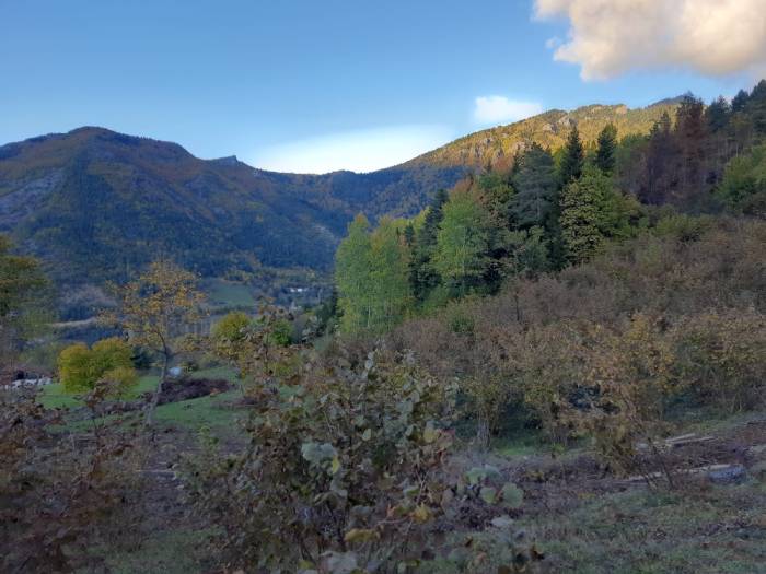 Artvin'den muhteşem güz manzaraları