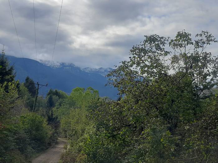 Artvin'den muhteşem güz manzaraları
