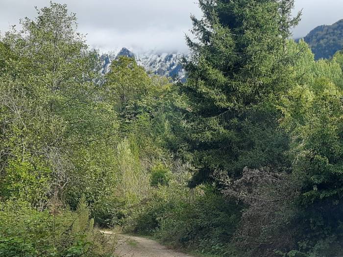 Artvin'den muhteşem güz manzaraları
