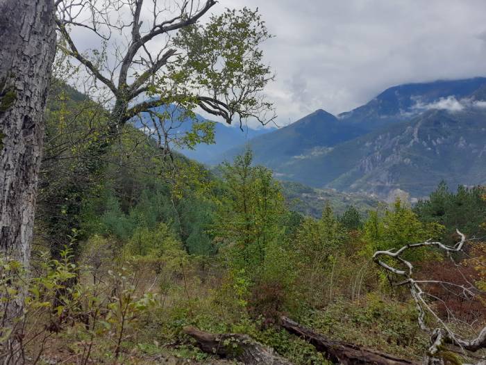 Artvin'den muhteşem güz manzaraları