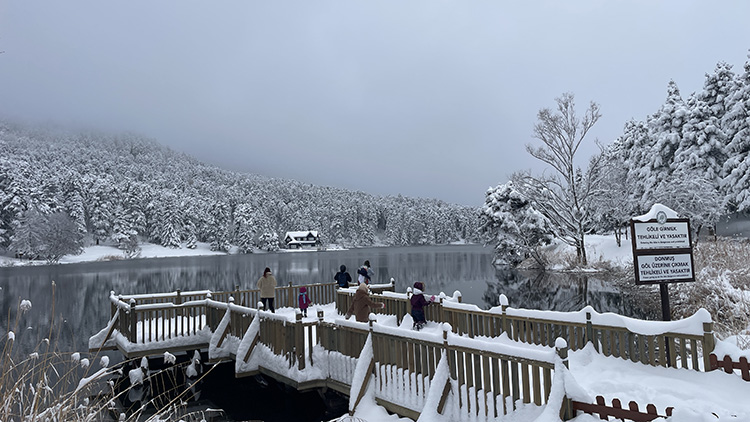 Bolu tabiat parkında kartpostal görüntüler