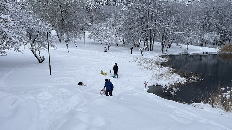 Bolu tabiat parkında kartpostal görüntüler