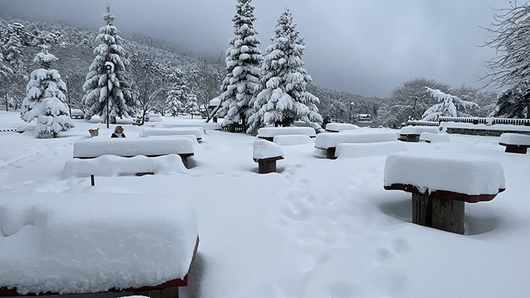 Bolu tabiat parkında kartpostal görüntüler