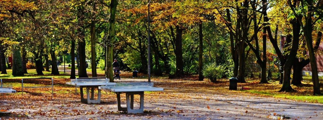 Köln Mülheim Parkı'ndan güz manzaraları