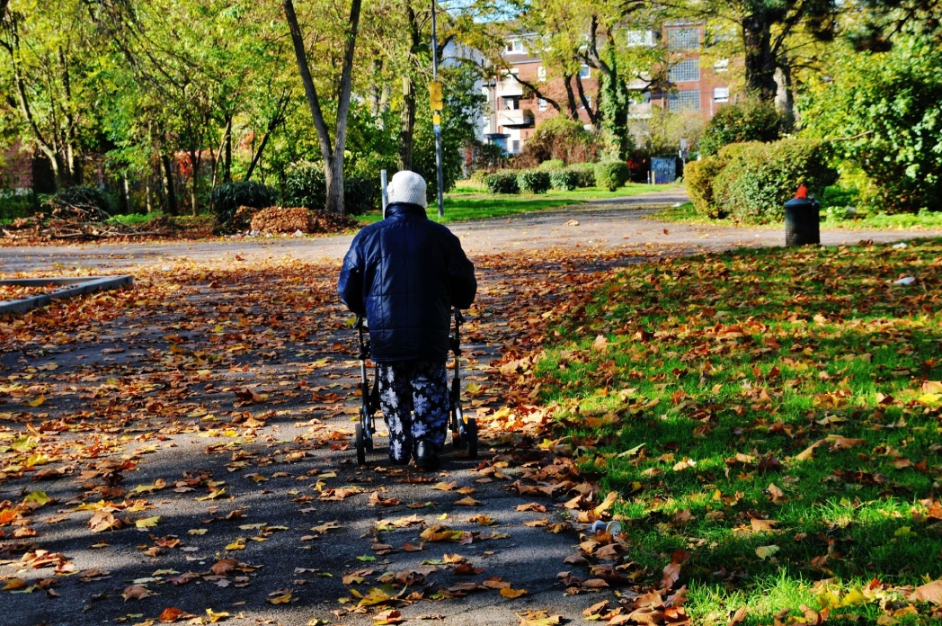 Köln Mülheim Parkı'ndan güz manzaraları