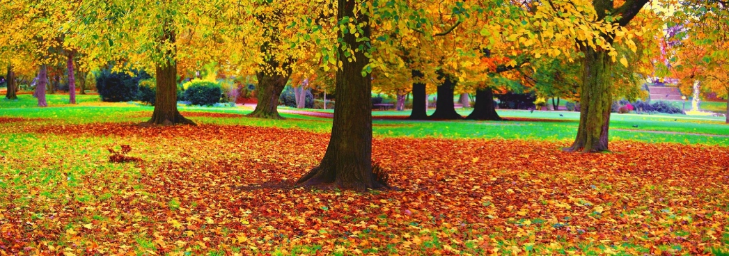 Köln Mülheim Parkı'ndan güz manzaraları