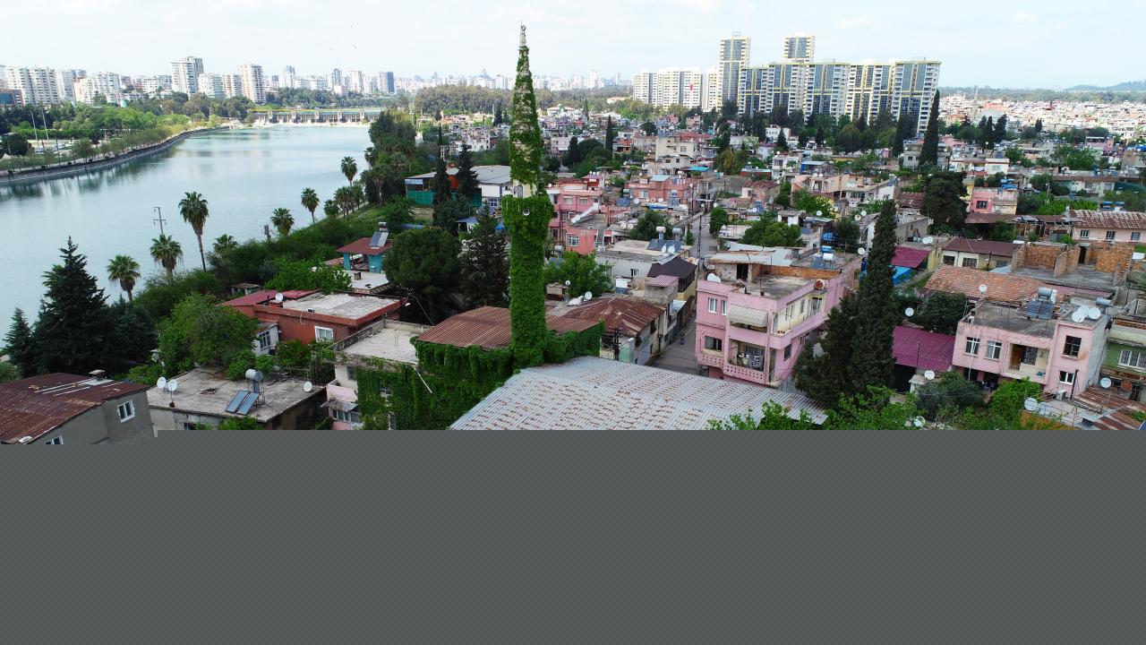 Sarmaşıklı cami baharı erken hissetti