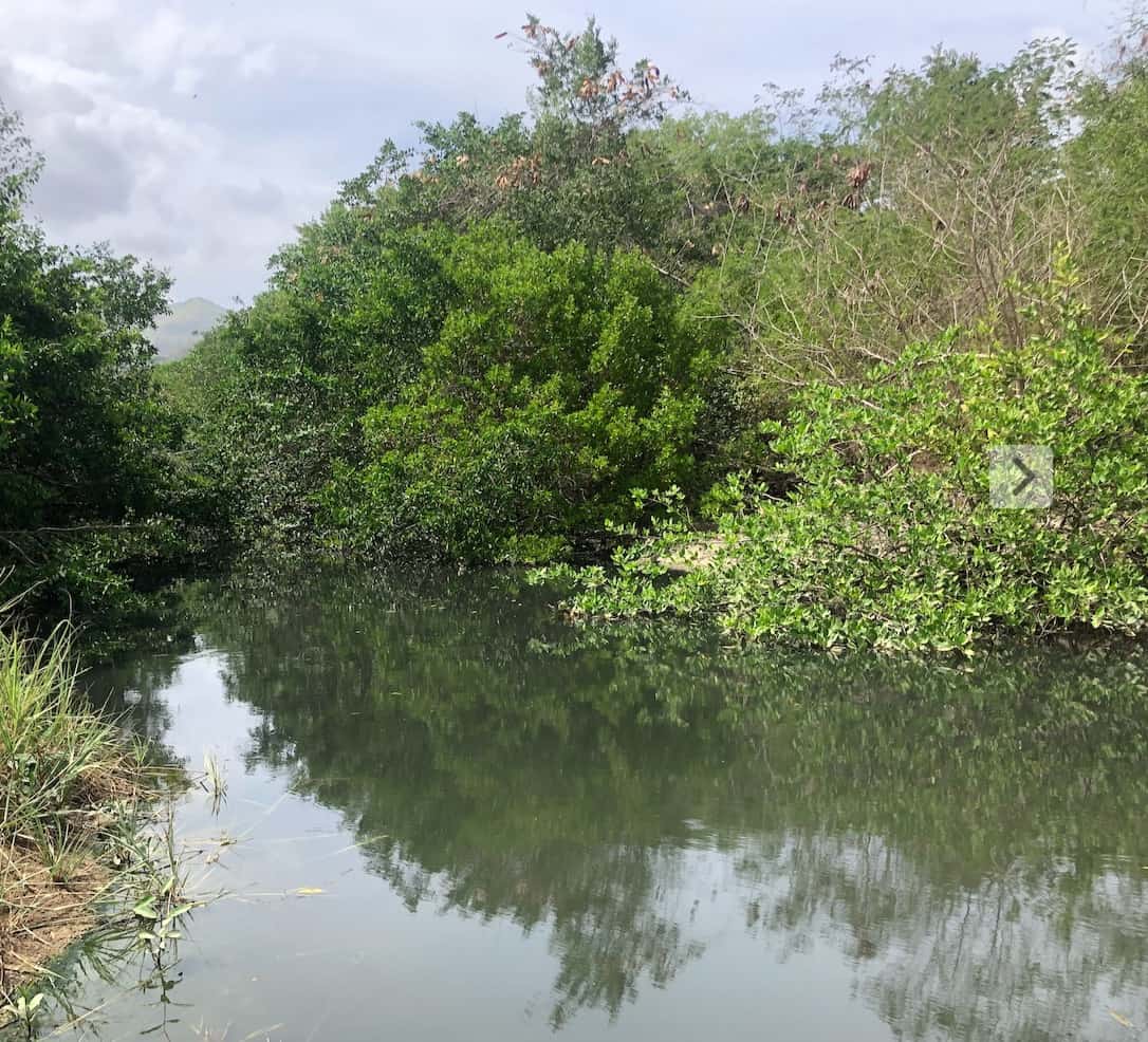 Veracruz sahilinden fotoğraflar