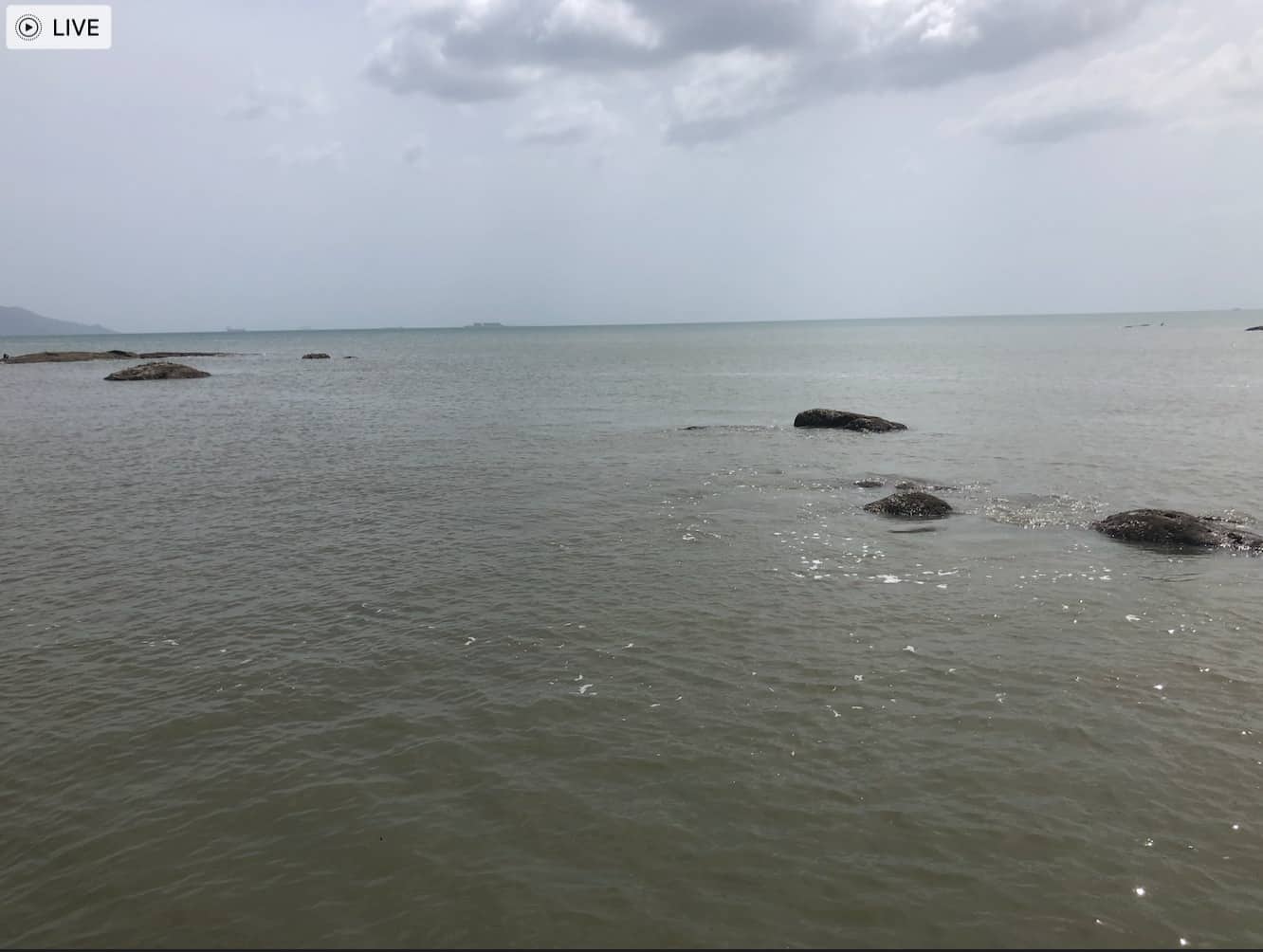 Veracruz sahilinden fotoğraflar
