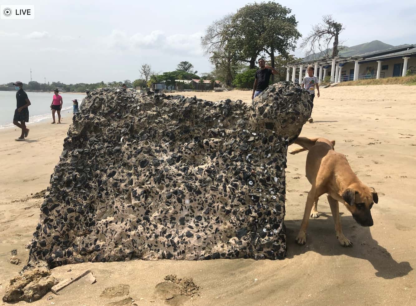 Veracruz sahilinden fotoğraflar