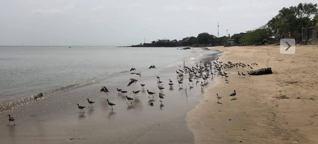 Veracruz sahilinden fotoğraflar