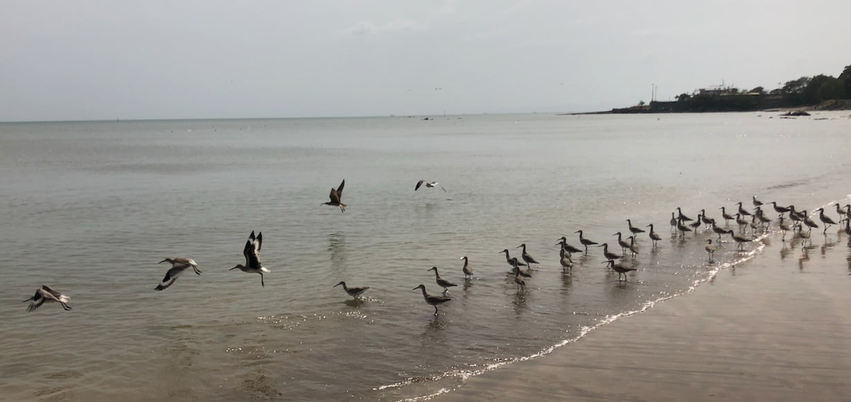 Veracruz sahilinden fotoğraflar