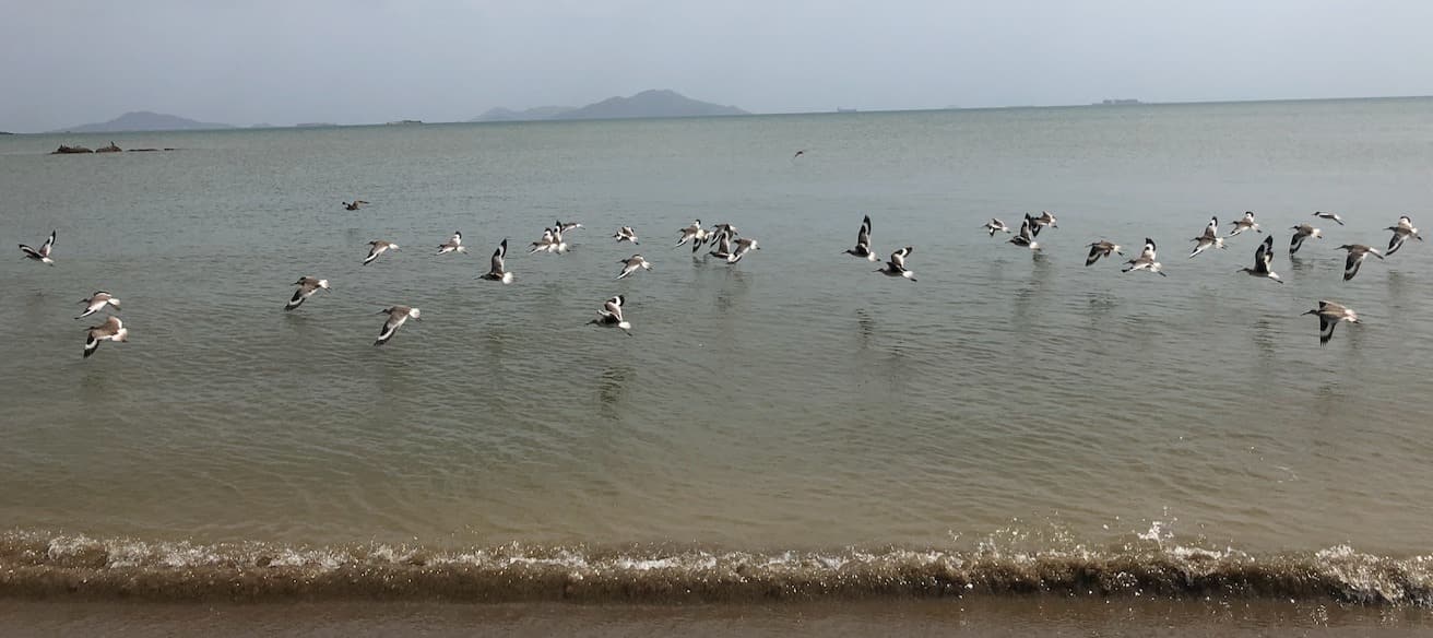Veracruz sahilinden fotoğraflar