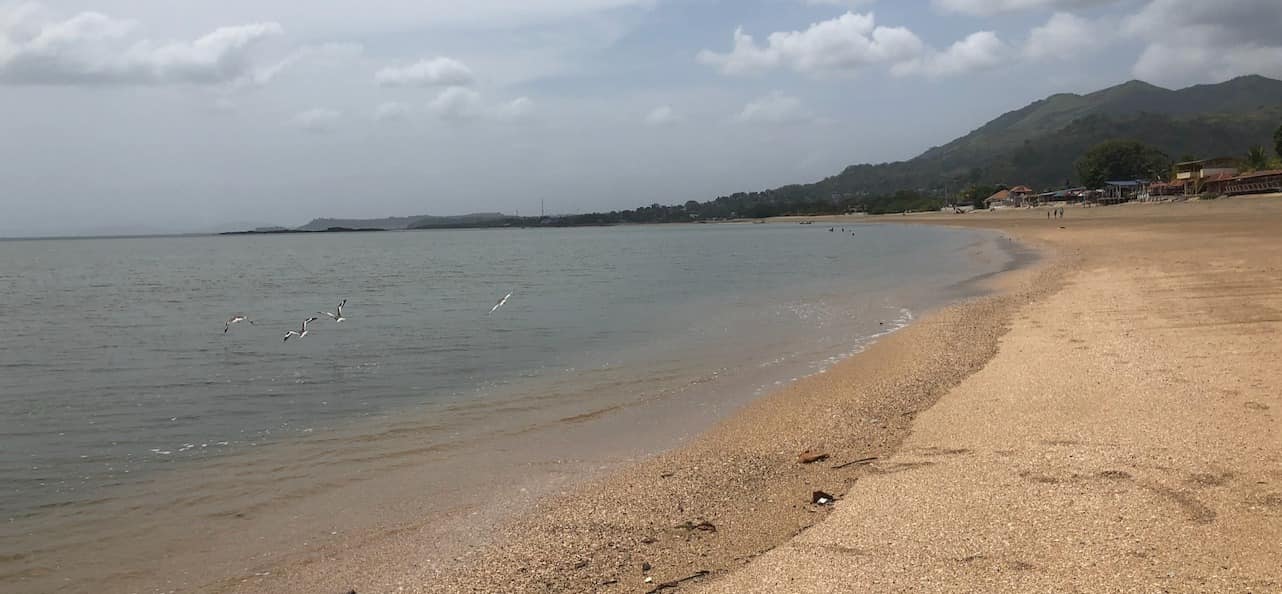 Veracruz sahilinden fotoğraflar
