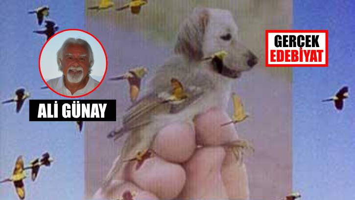 Anlaşmazlık