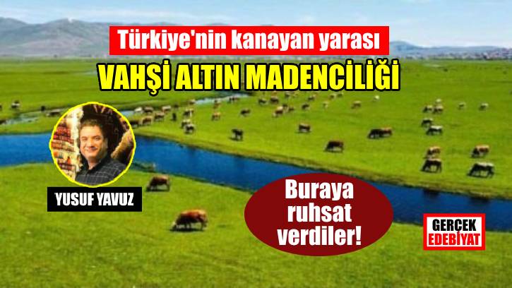 Bu cennete altın arama ruhsatı verildi