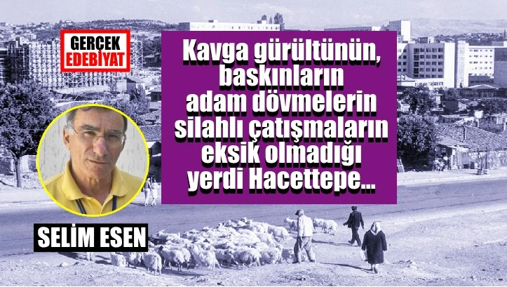 Ankara’nın aykırı mahallesi: Hacettepe
