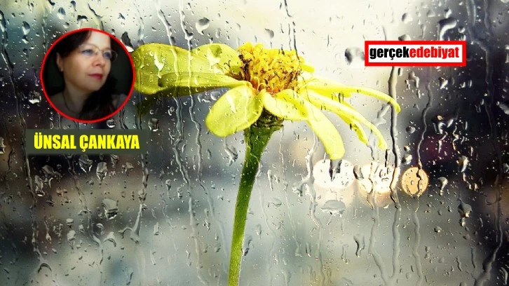 Bahar dalı  