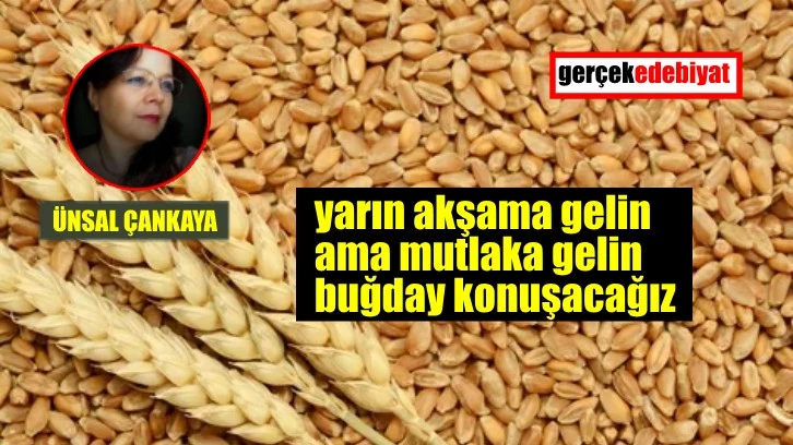 Buğday konuşmanın zamanı şimdi  