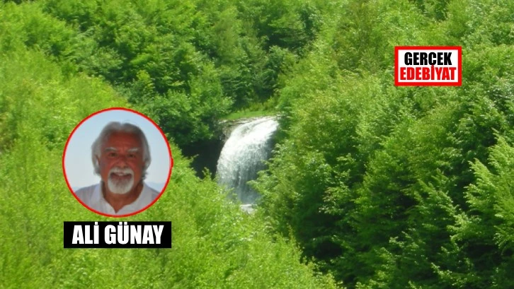 Can suyu