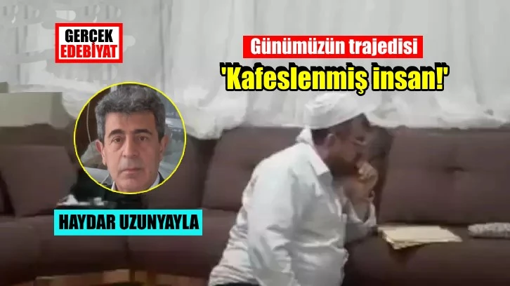 Cinci hoca falcı bacı