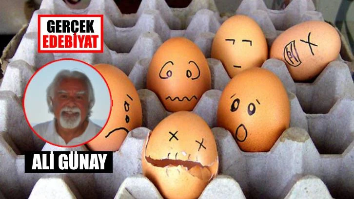 Duygu ve insan