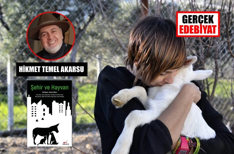 Eleştirel hayvan çalışmaları hakkında: Şehir ve Hayvan 