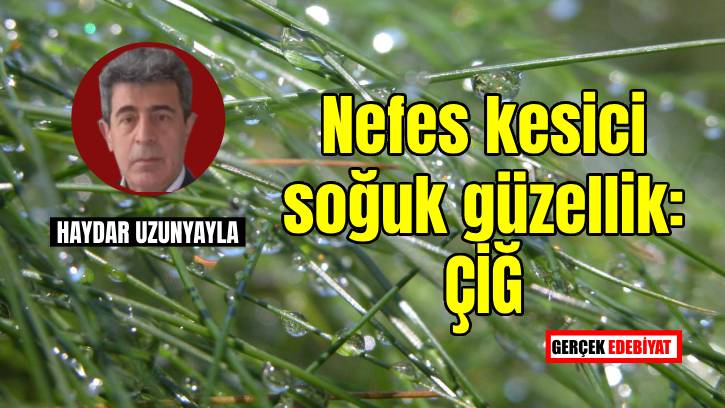 Çiğ damlaları güzellik ve şiir