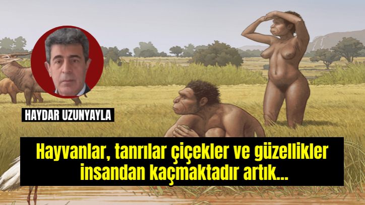 Mülkiyet ve bozulma üzerine