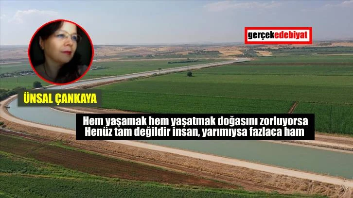Haydi insan kalmaya!