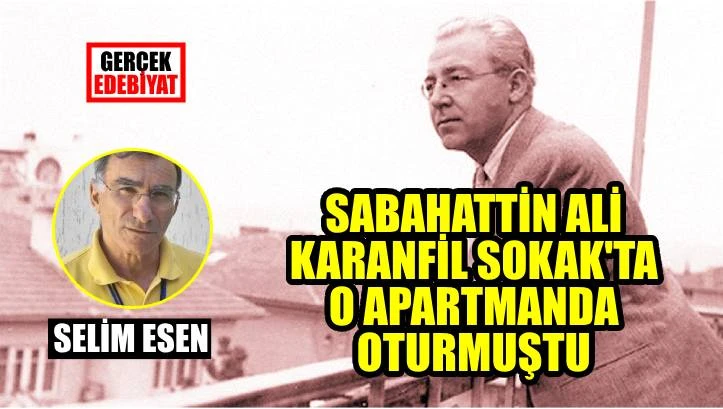 karanfil-sokagi-787036.webp