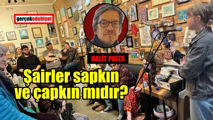 Lirik ve kritik-1