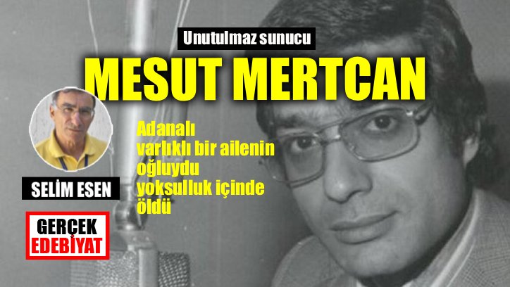 Pamuk Tarlaları