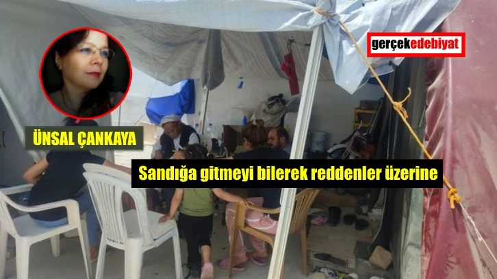 Seçmen kimdir?