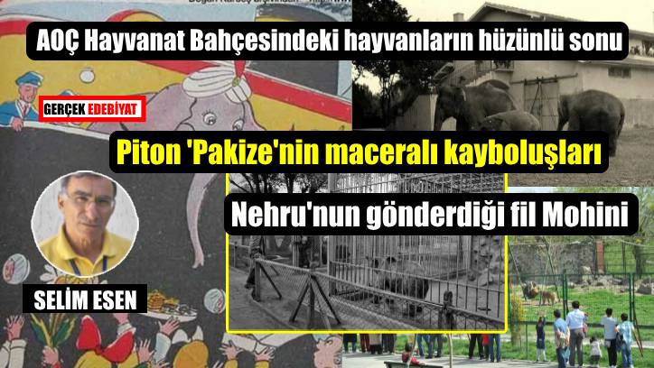 Ankara Hayvanat Bahçesi