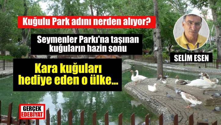 Kuğulu Park
