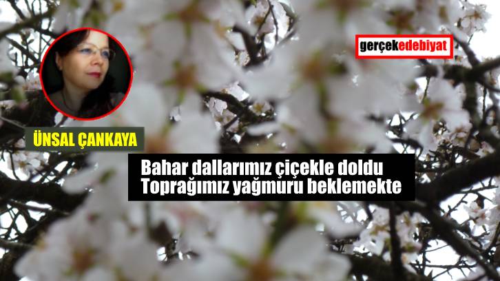 Bahar sandığımız