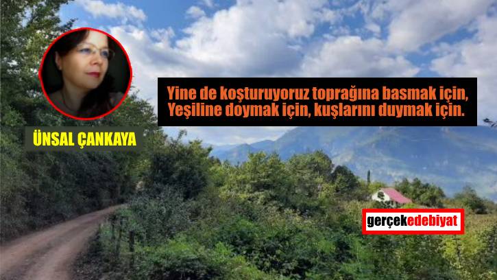 Avuntu