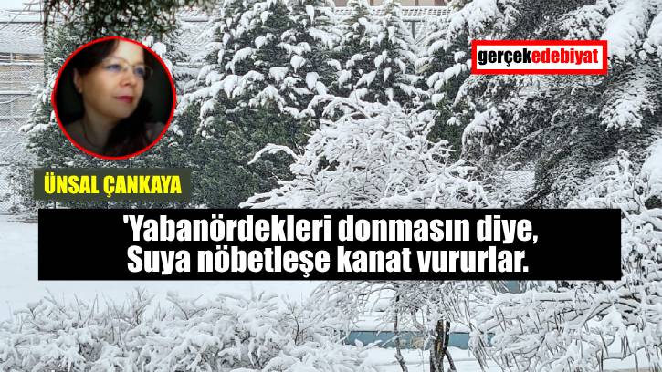 Fotoğraf Altyazıları - 11