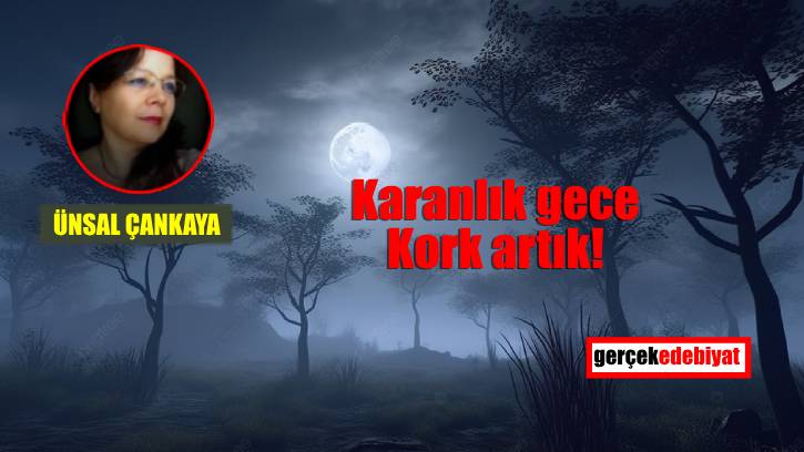 Karanlık gece