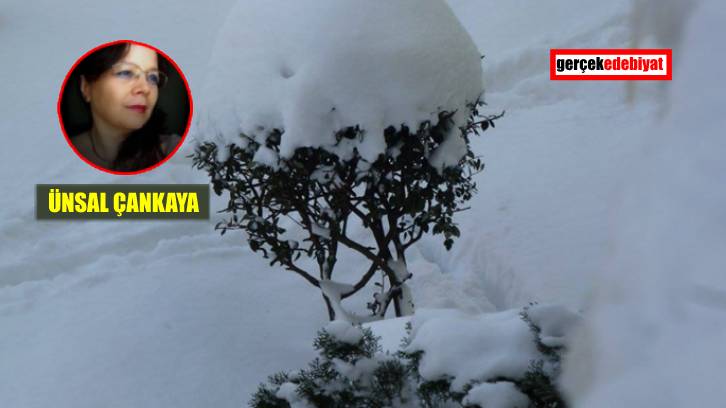 Fotoğraf altı yazıları