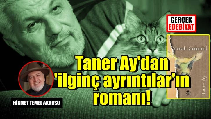 Yaralı Gönül: Bir inhitat romanı
