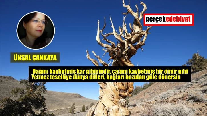 Yaşarken ölünmesin
