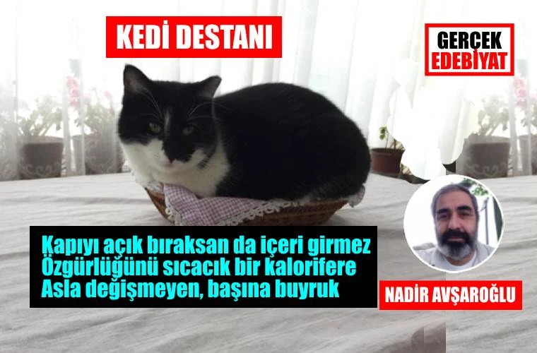 Zengin kız fakir oğlan