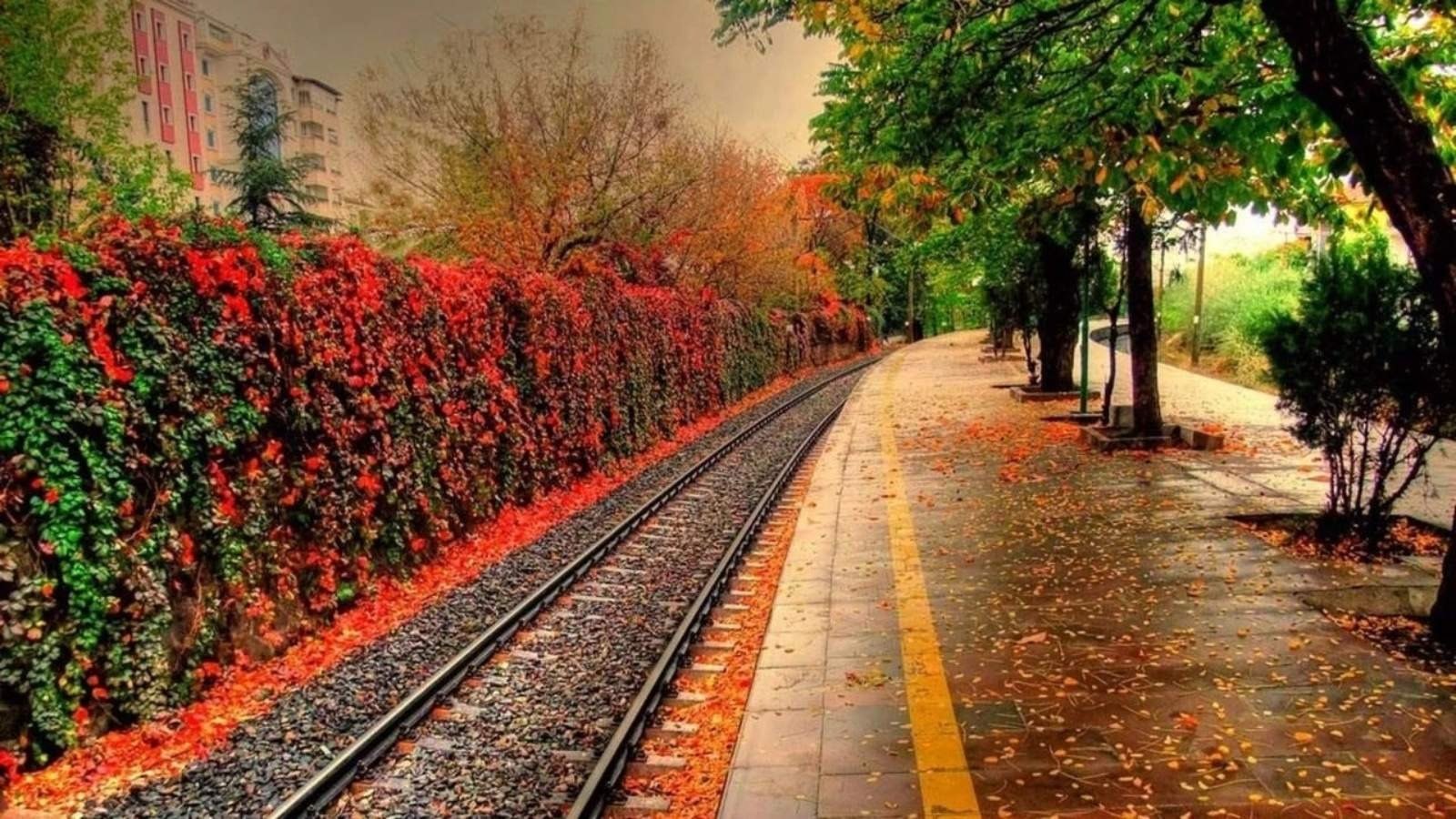 Sonbahar olmasaydı