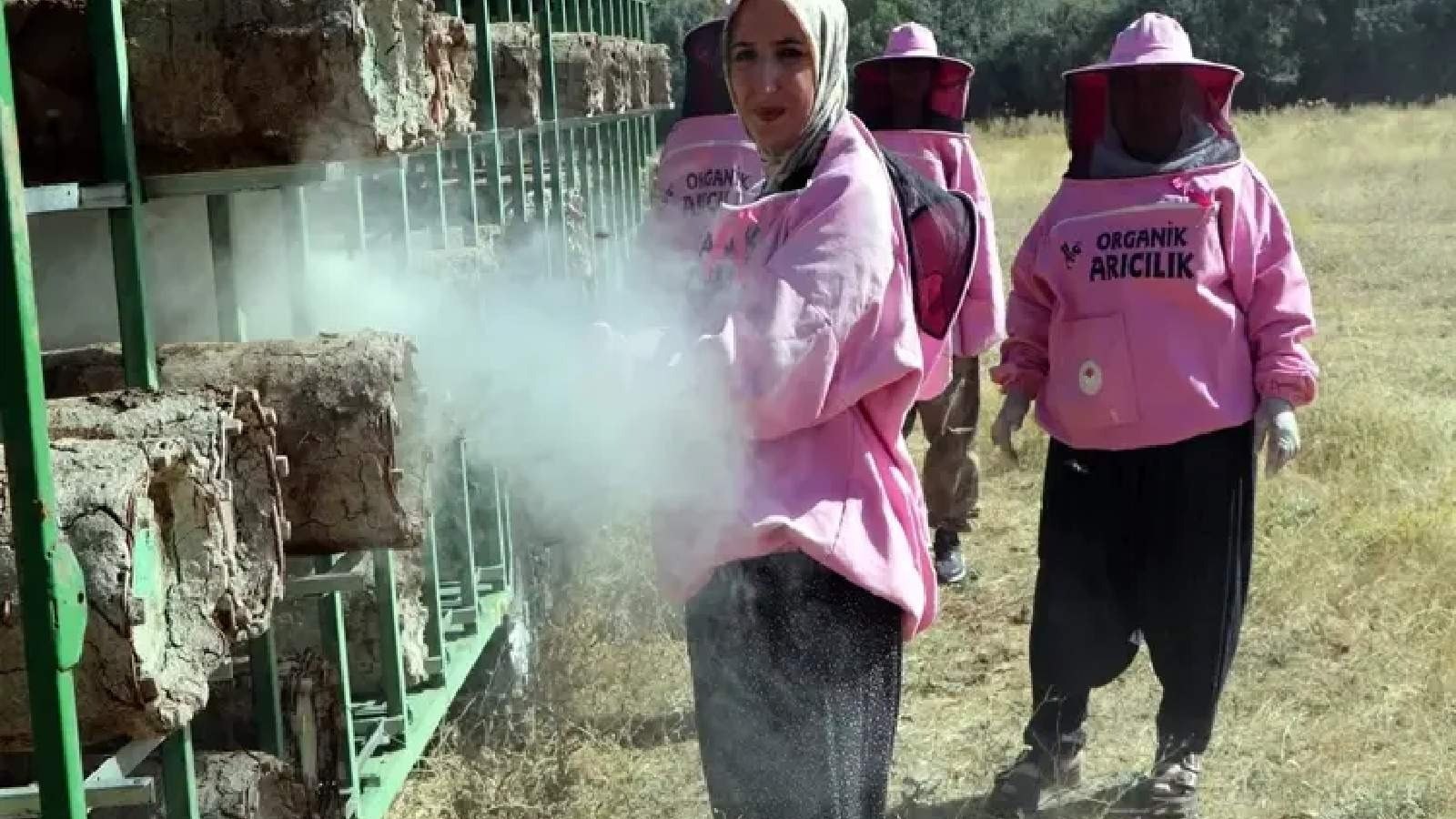 'Pembe maskeli’ kadın arıcılar hasada başladı