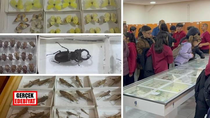 O Böcek Müzemizde 30 bin örnek var