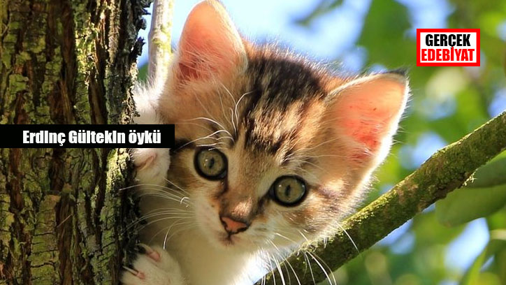 Açlık / Erdinç Gültekin